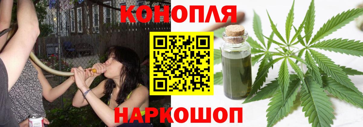 Бошки Шишки White Widow  Конопля VHQ  Вход с VPN  Осинники 
